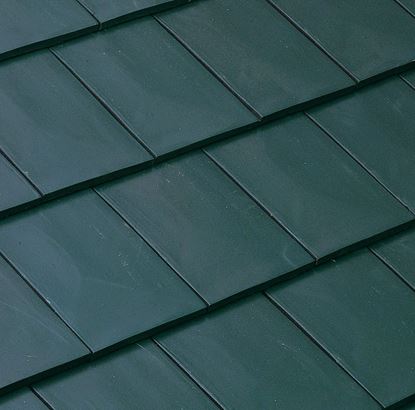 Afbeeldingen van Edilians Beauvoise leikleur vlakke dakpan