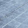Picture of Aco Euroline 100 luik inox discreet 65