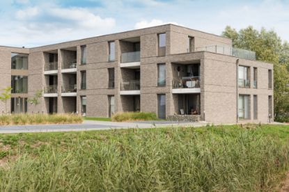 Afbeeldingen van Nelissen Grigio Borlo WV50 210x100x50